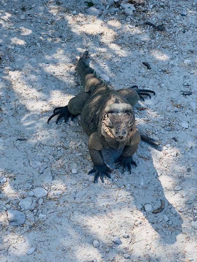 Lago Enriquillo Resort Cerro Al Medio Zewnętrze zdjęcie