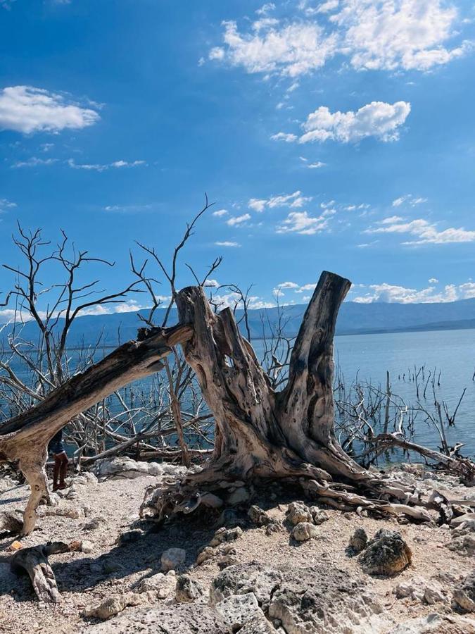 Lago Enriquillo Resort Cerro Al Medio Zewnętrze zdjęcie