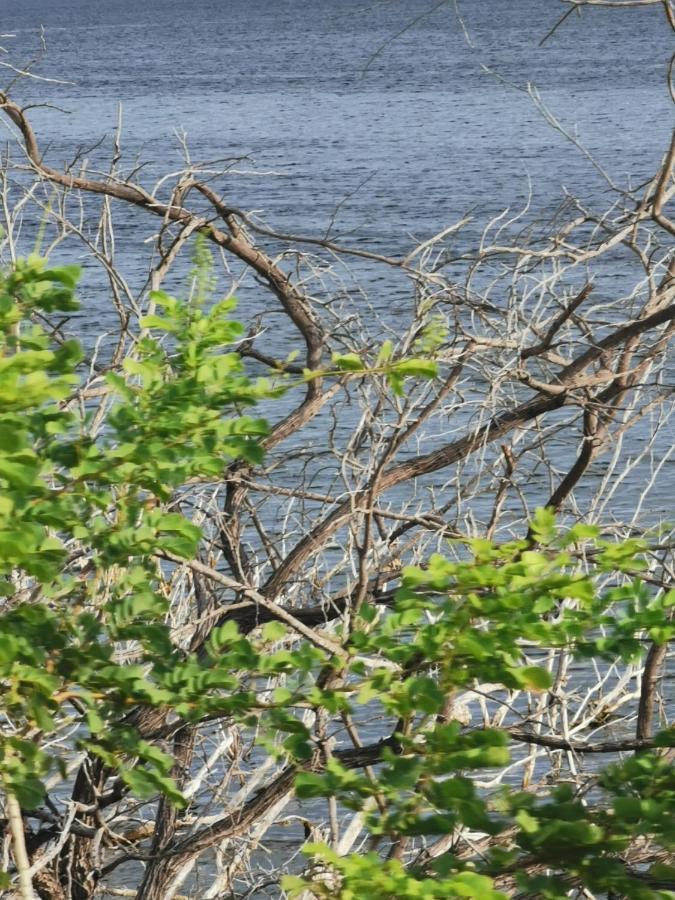 Lago Enriquillo Resort Cerro Al Medio Zewnętrze zdjęcie