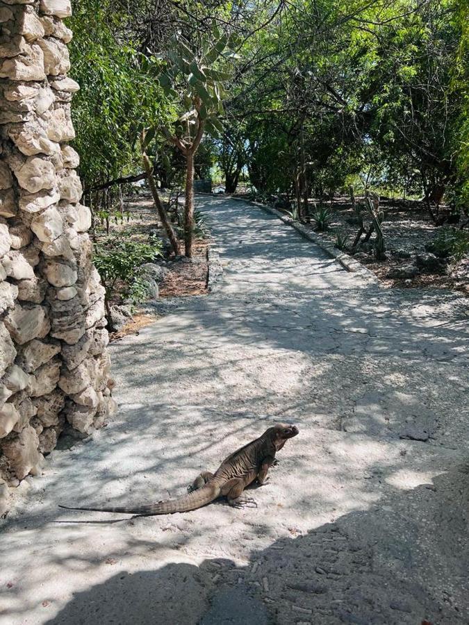 Lago Enriquillo Resort Cerro Al Medio Zewnętrze zdjęcie