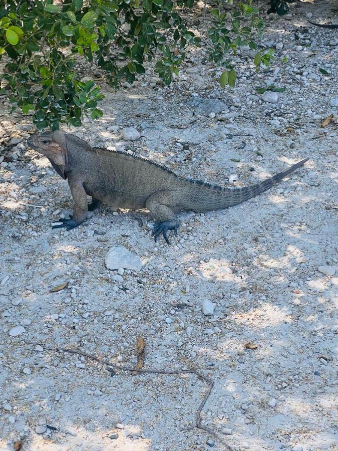 Lago Enriquillo Resort Cerro Al Medio Zewnętrze zdjęcie