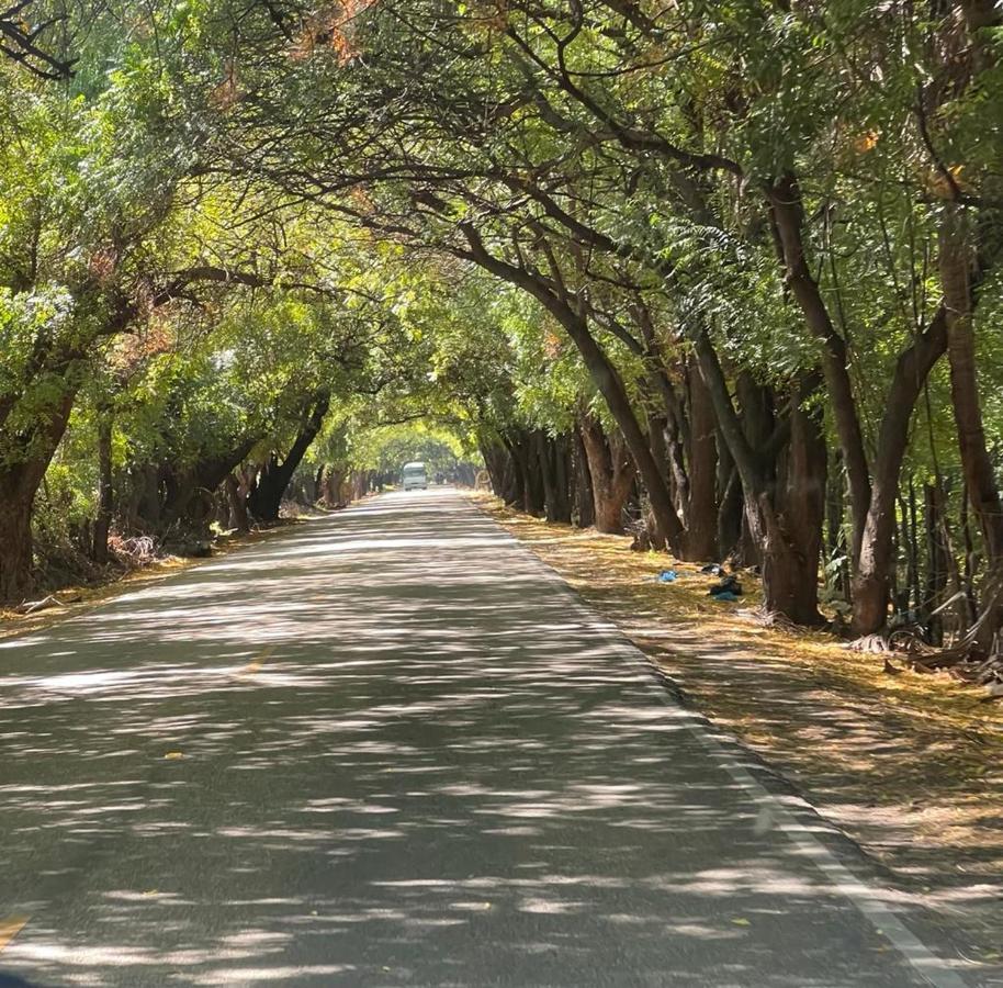 Lago Enriquillo Resort Cerro Al Medio Zewnętrze zdjęcie