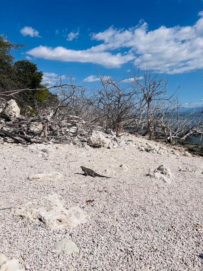 Lago Enriquillo Resort Cerro Al Medio Zewnętrze zdjęcie