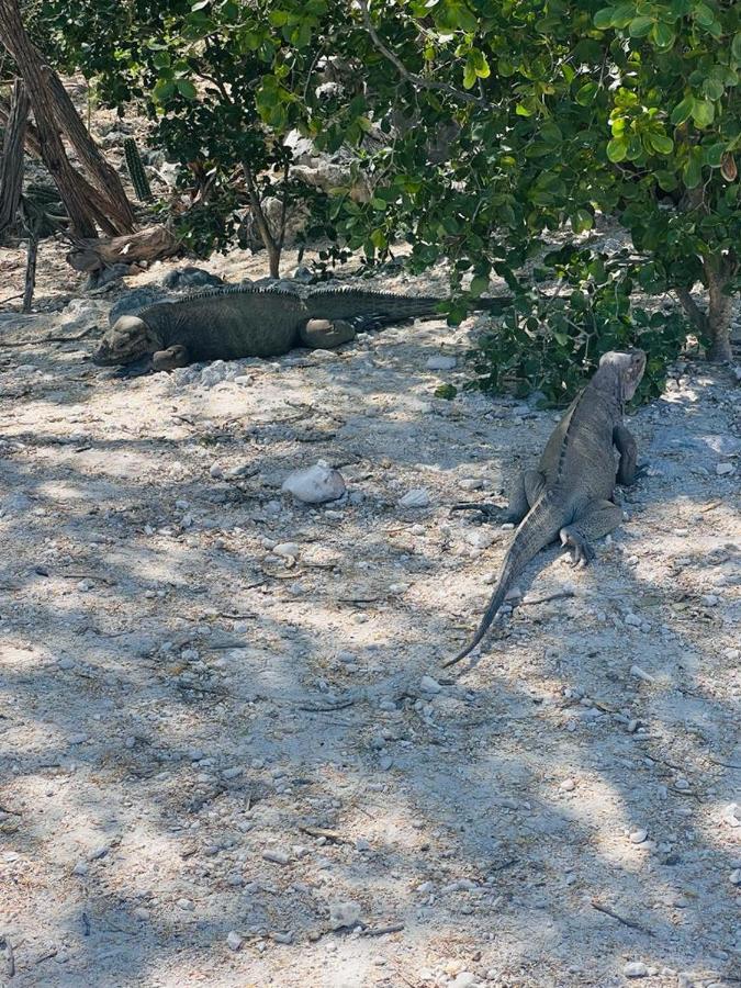 Lago Enriquillo Resort Cerro Al Medio Zewnętrze zdjęcie